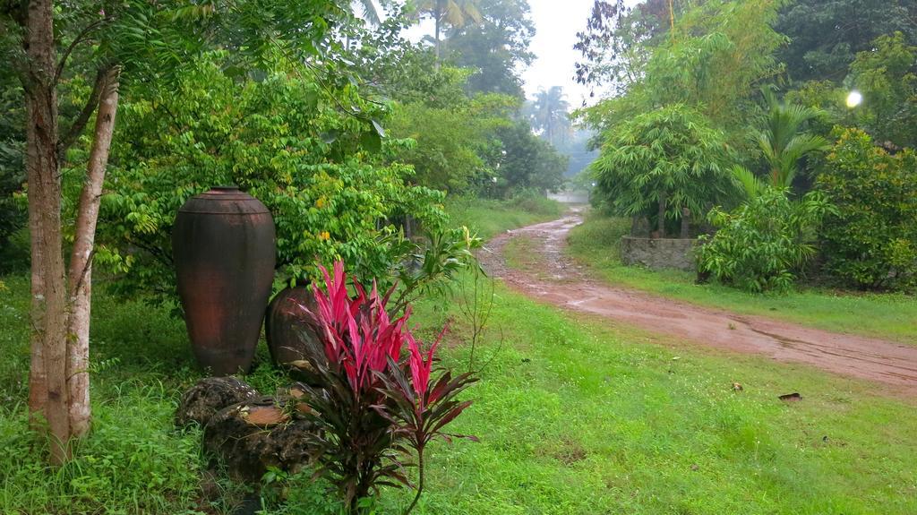 Clayfingers Art Cottage Thrissur Rom bilde