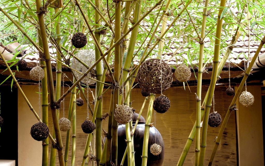 Clayfingers Art Cottage Thrissur Eksteriør bilde
