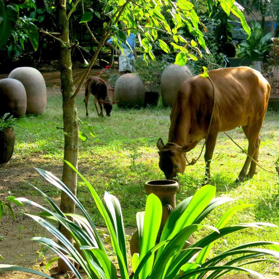 Clayfingers Art Cottage Thrissur Eksteriør bilde